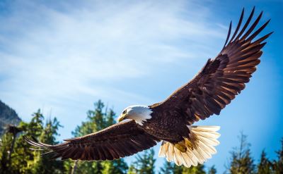 Alaska cruise out of Seattle